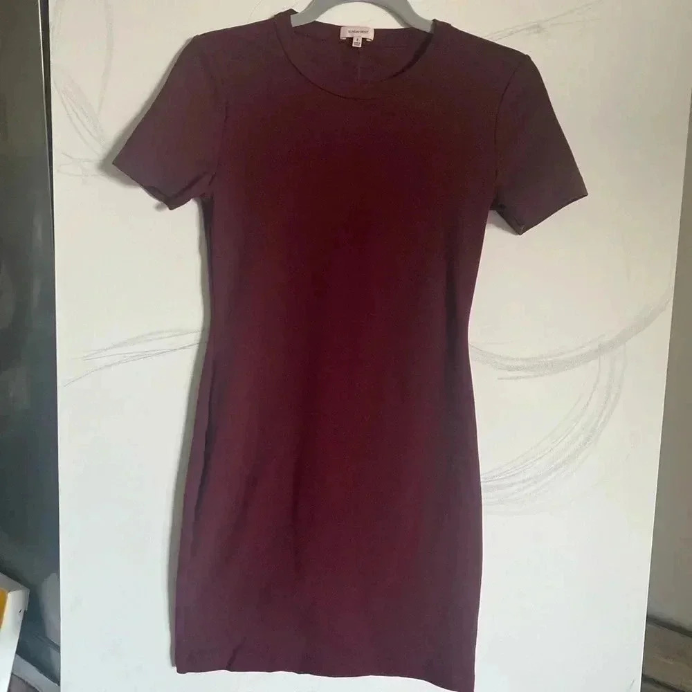 Aritzia Sundays Best 
Bodycon dress